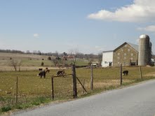 Preserved farmland in the Oley Valley.  Credit: Zachary Pyle.