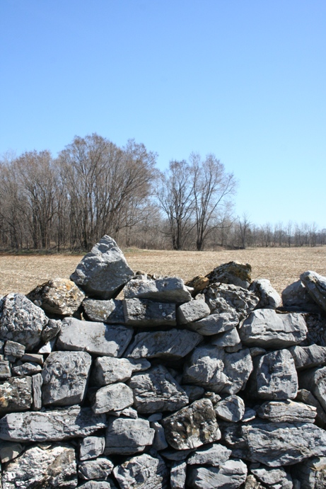 Franklin County stone fence, farm field, and tree line.