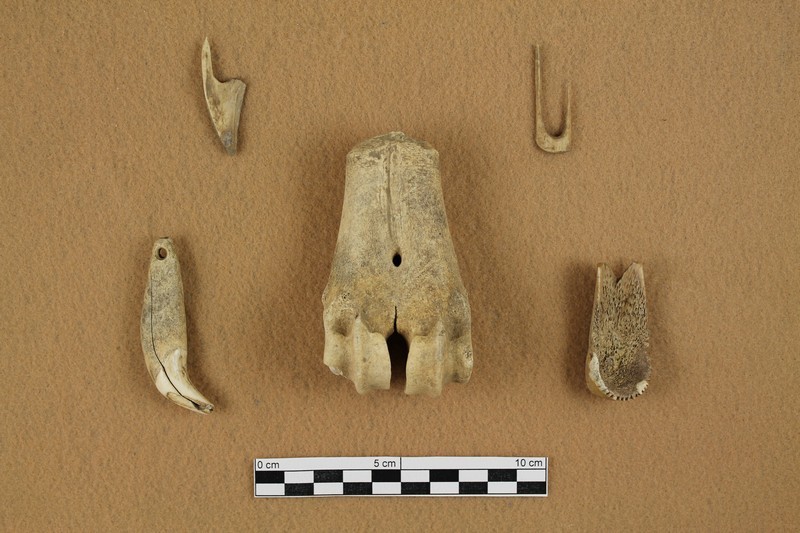 Some of the artifacts uncovered during the excavation included bone pendants, fish hook and a notched spoon.