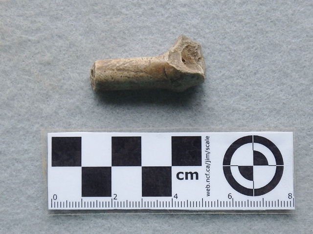 Pipestem Recovered from Alternative 1. Photograph by Chris Espenshade (formerly of Commonwealth Heritage Group), 2015.