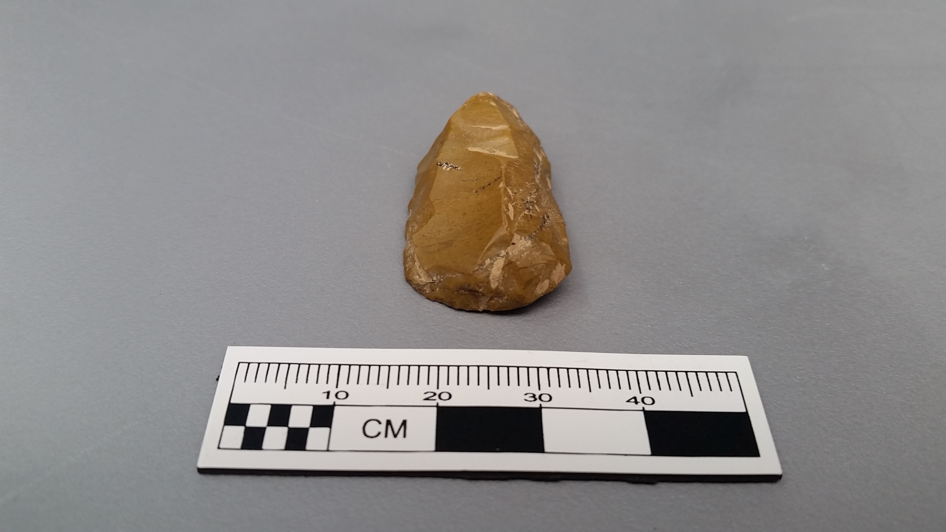 This photograph shows a tooled projectile point (arrow) measuring approximately 20 centimeters wide.