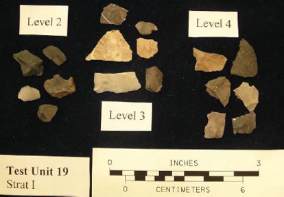 Lithic debitage recovered from the plowzone context of the Ashton Cemetery Site (36LR0165).
