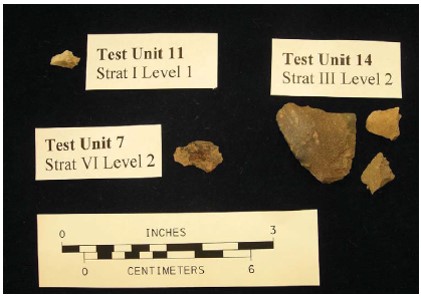 Lithic debitage recovered from the Bw-horizon (subsoil) context of the Ashton Cemetery Site (36LR0165).