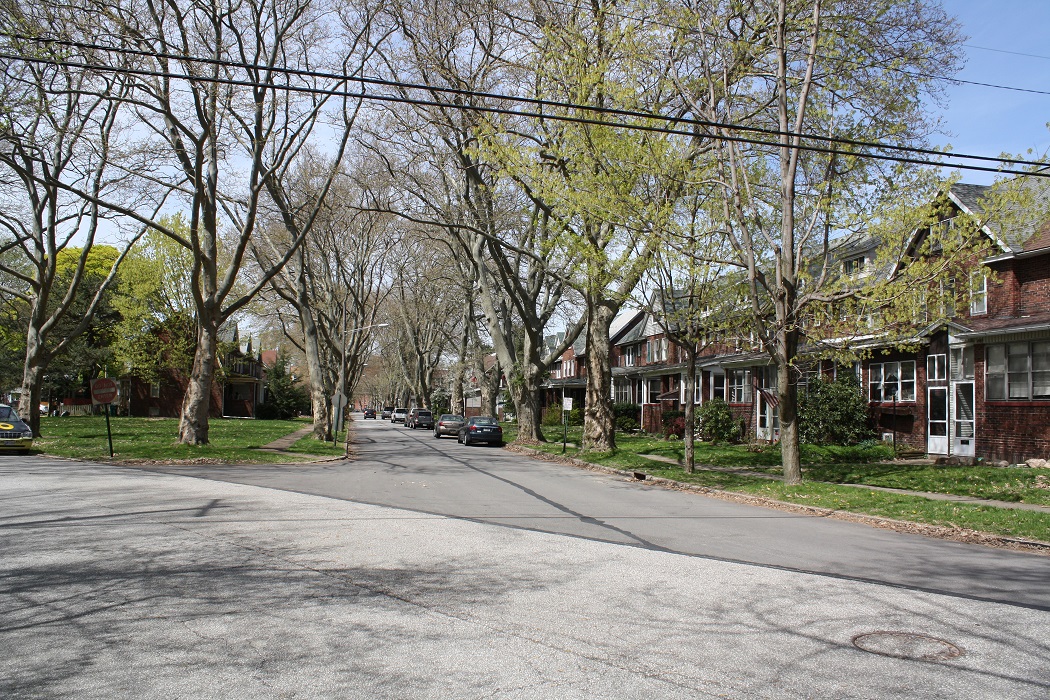 Residences at Newton and Napier Avenues in the Lawrence Park Historic District – Photo by NaylorWellman.