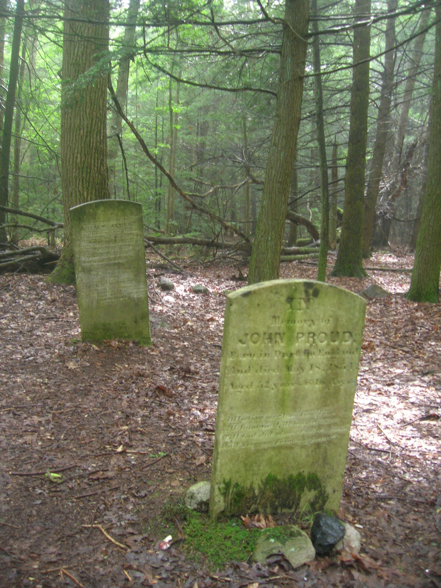 Old stone headstones in woods