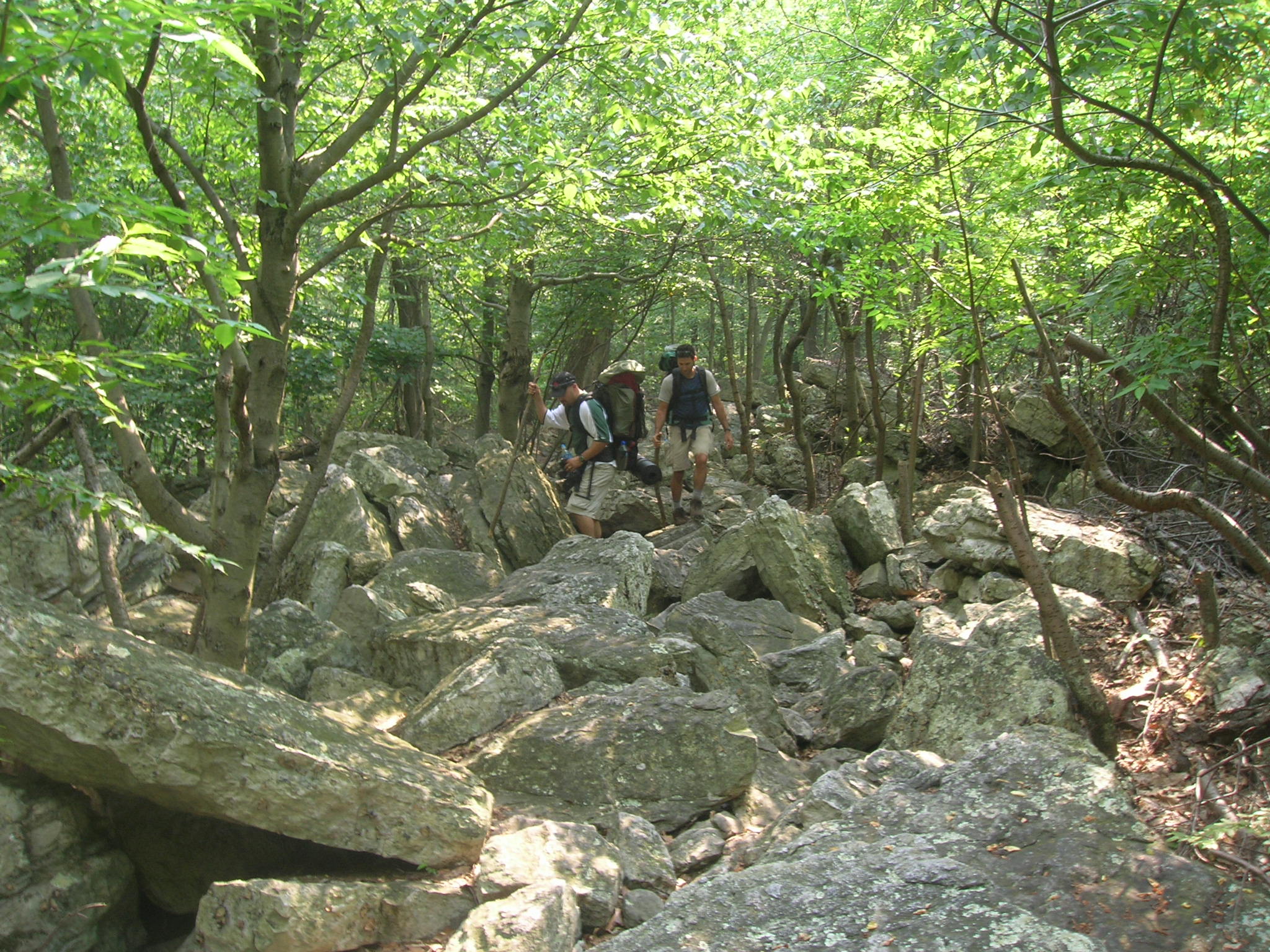 Men hiking over large rocks in the woods.