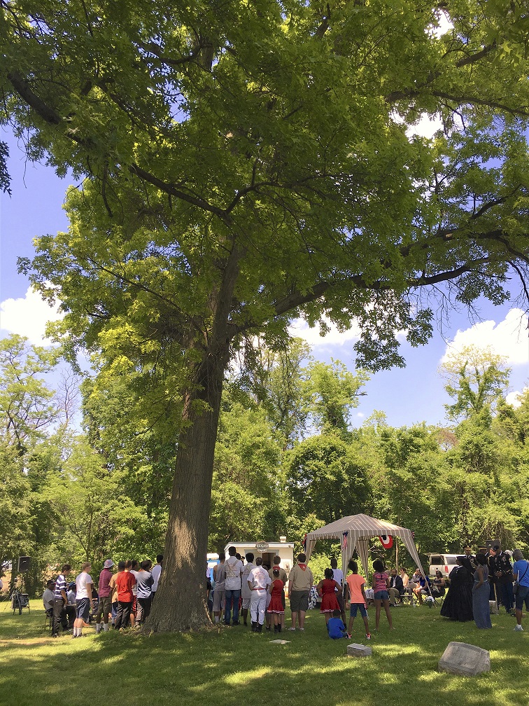 People standing in a park