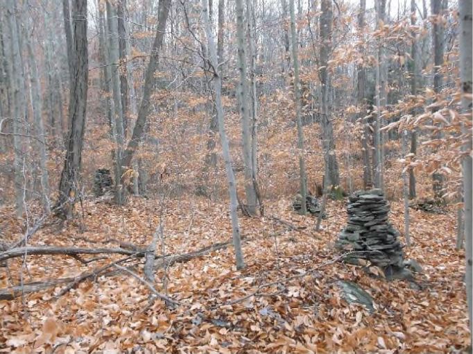 Pile of rocks in woods