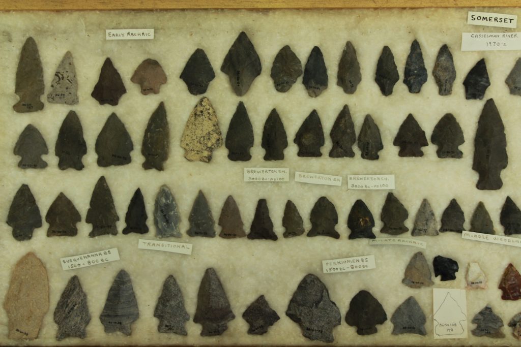 Rows of stone projectile points in the shape of an arrowhead laying on cotton in a wood box.