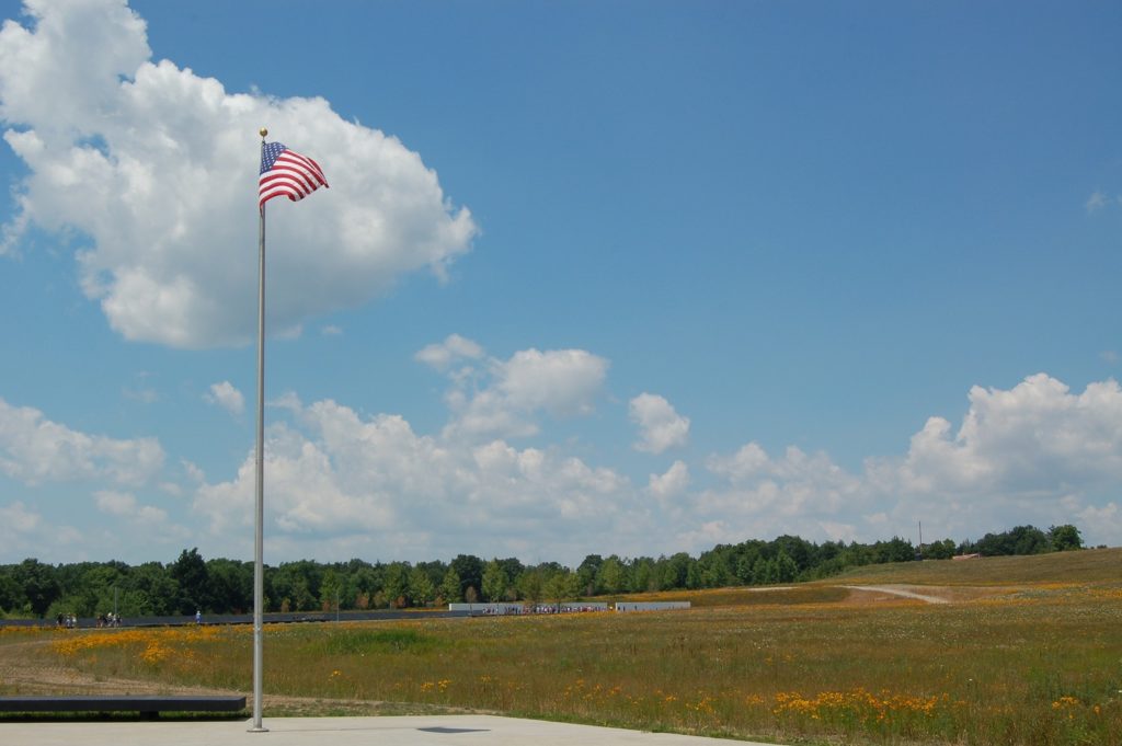Flag on a flagpole in field.