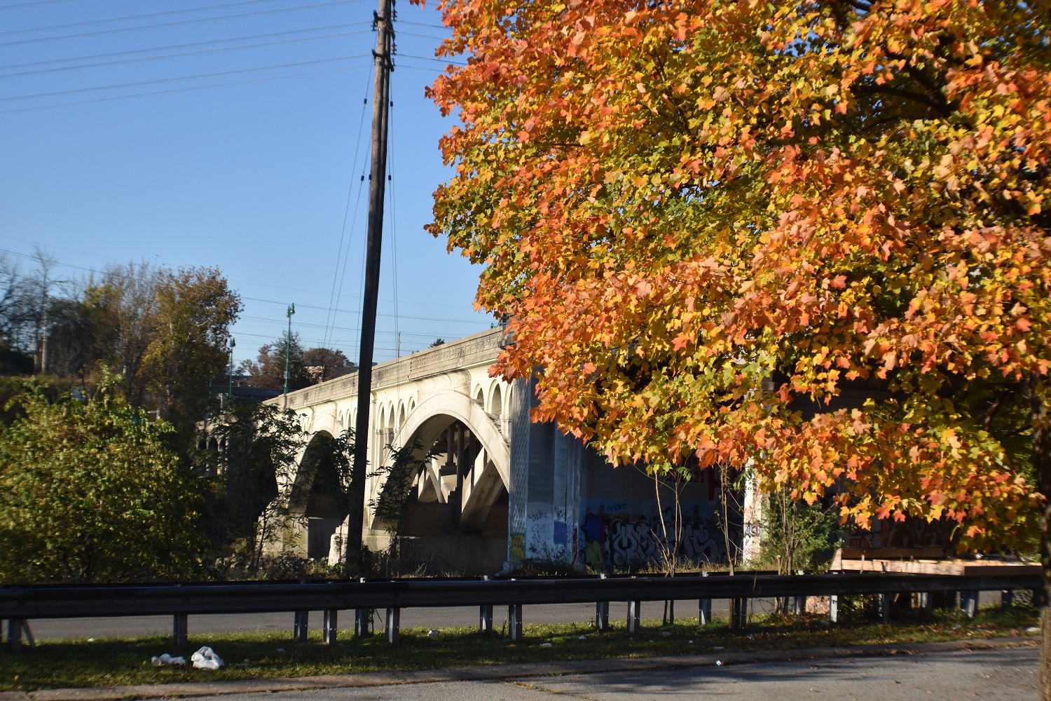 Colorful tree with bridge with large arches in background.