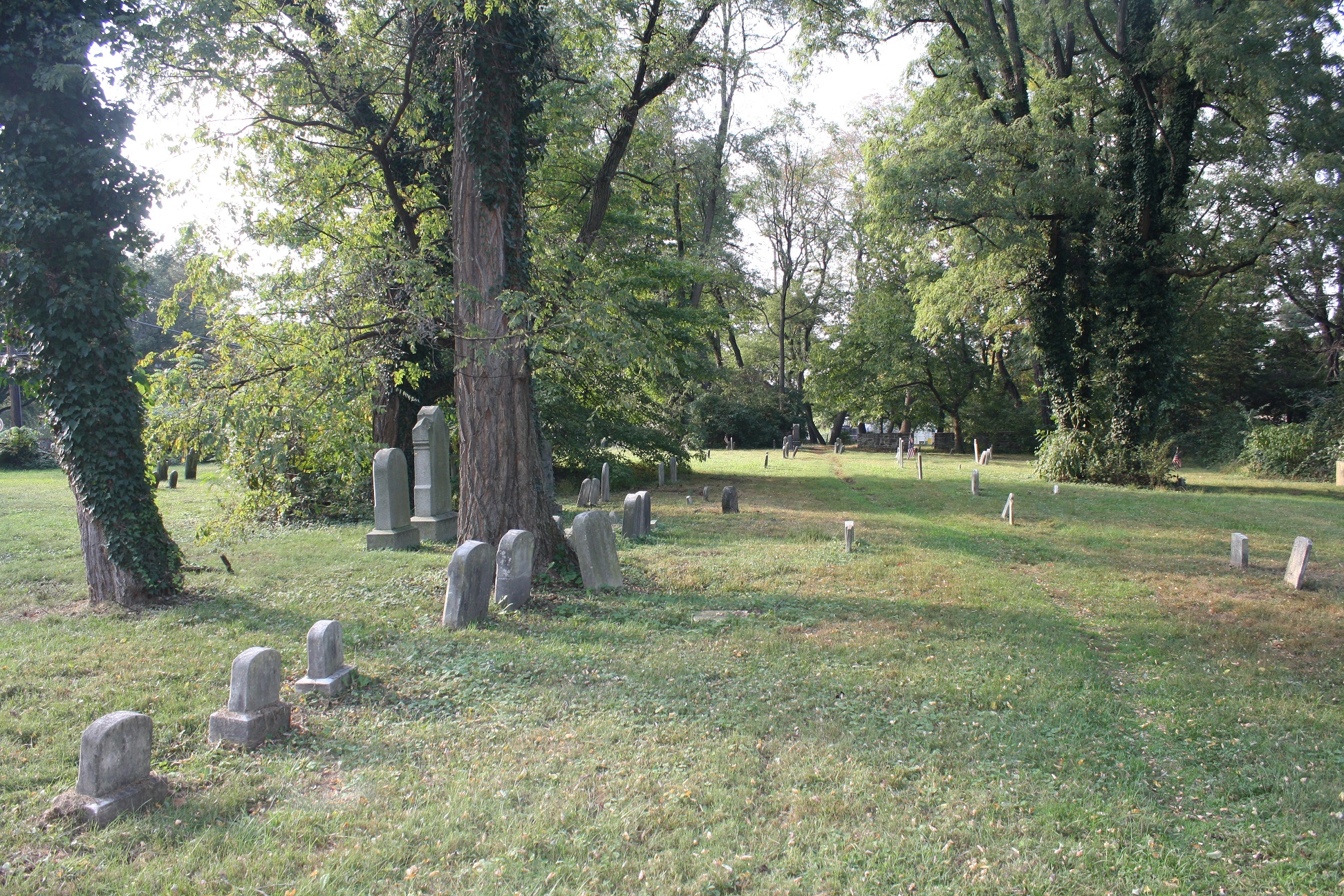 Rows of stone markers in grass with some trees around.