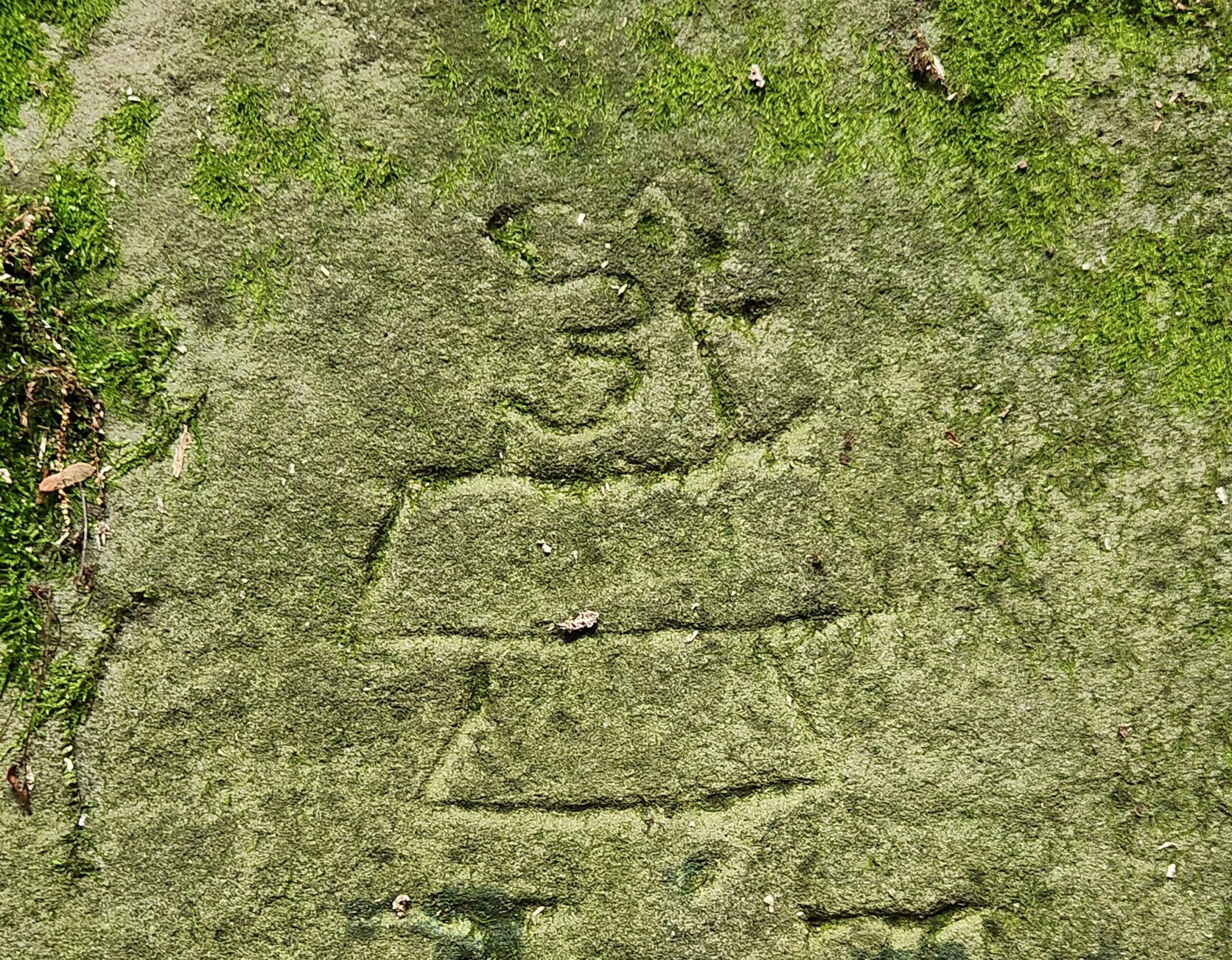 Dog sitting on a shed carved into rock.