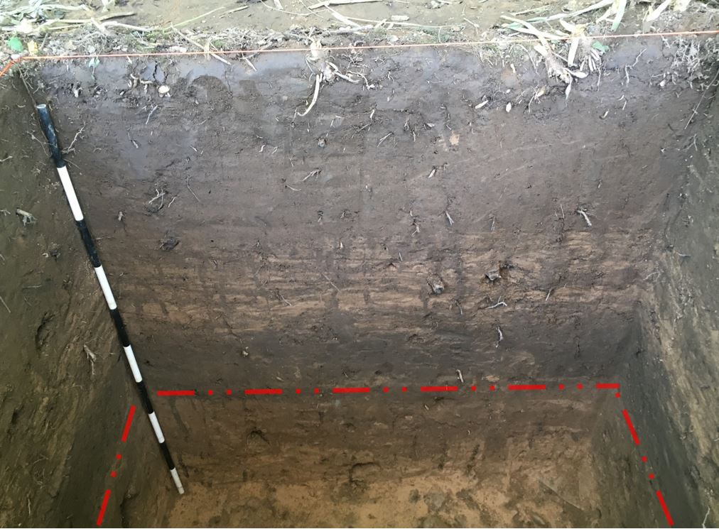 Detail showing different colors of brown soil in hole in earth.