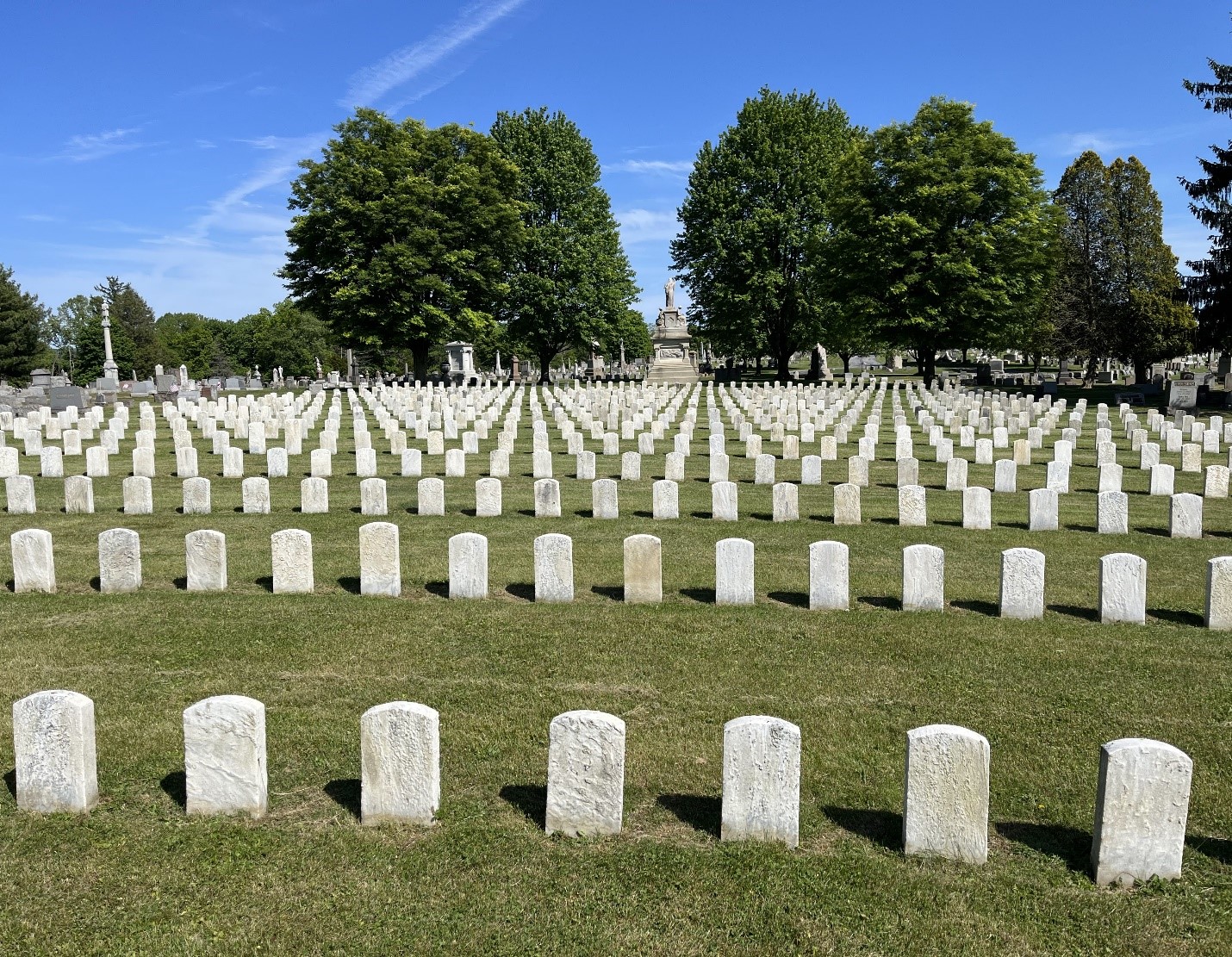 Left to right rows of small stone markers surrounded by grass with trees in the background.