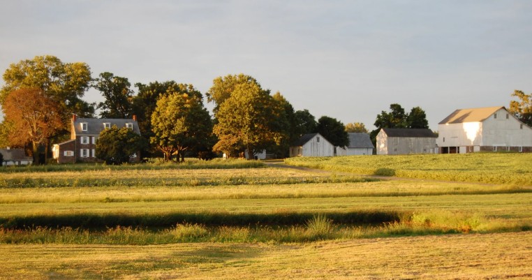 Row of agricultural buildings surrounded by fields and trees.