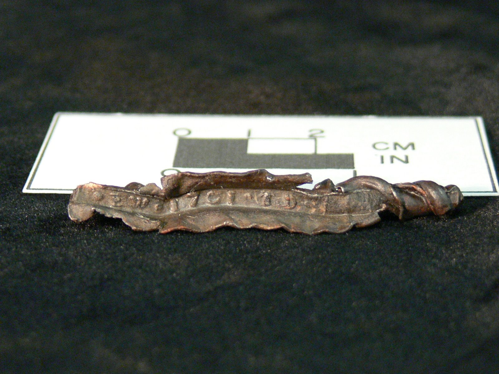 Fragment of metal on a black survey with a ruler behind it.
