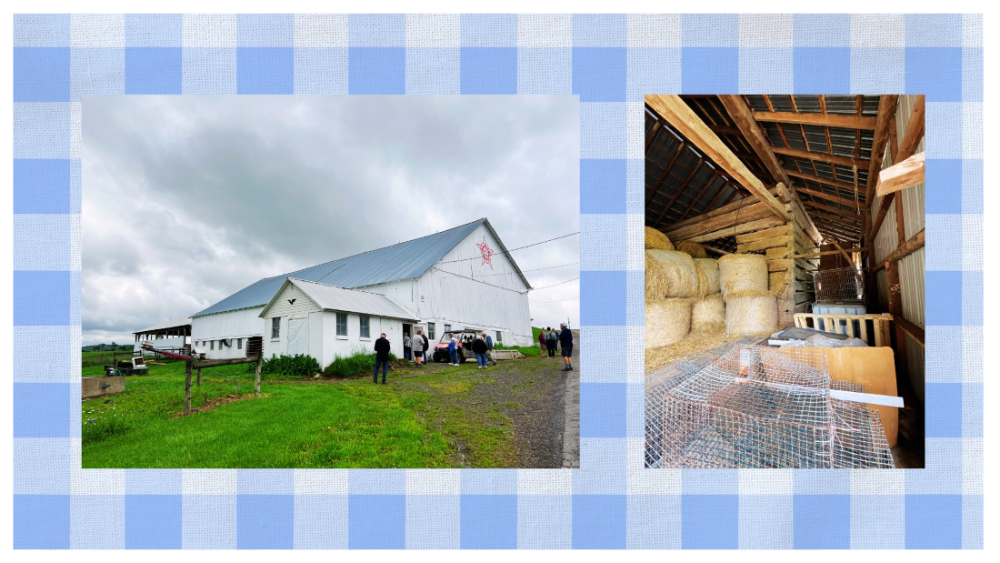 Two photograph on a blue and white plaid background. At left is large white barn and at right is open barn interior.